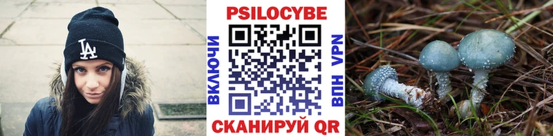 Псилоцибиновые грибы ЛСД  Северобайкальск 