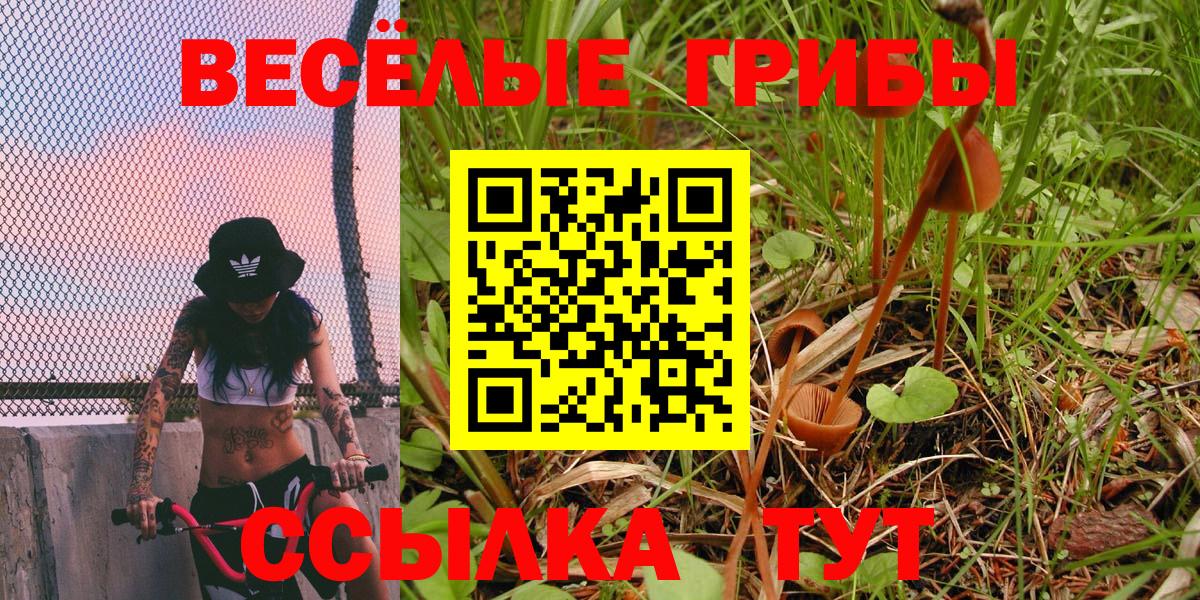 Галлюциногенные грибы мицелий  Вход с VPN  Северобайкальск 