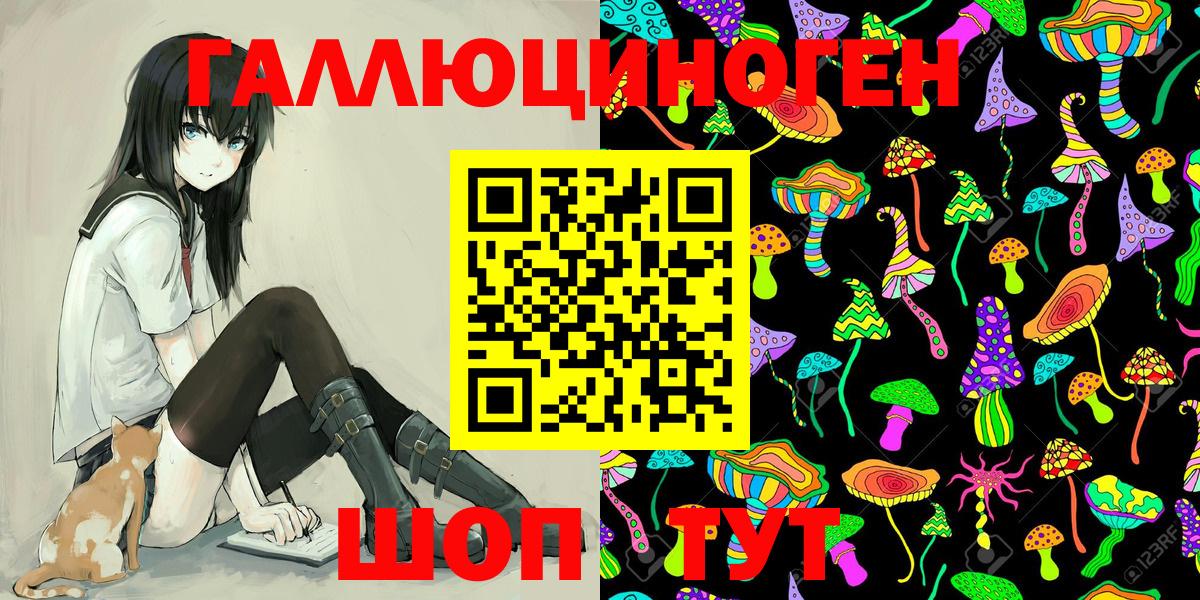 Псилоцибиновые грибы Cubensis Северобайкальск